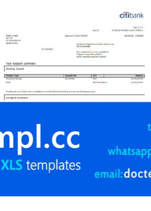 Hong Kong Citibank credit card statement template in Word and PDF format