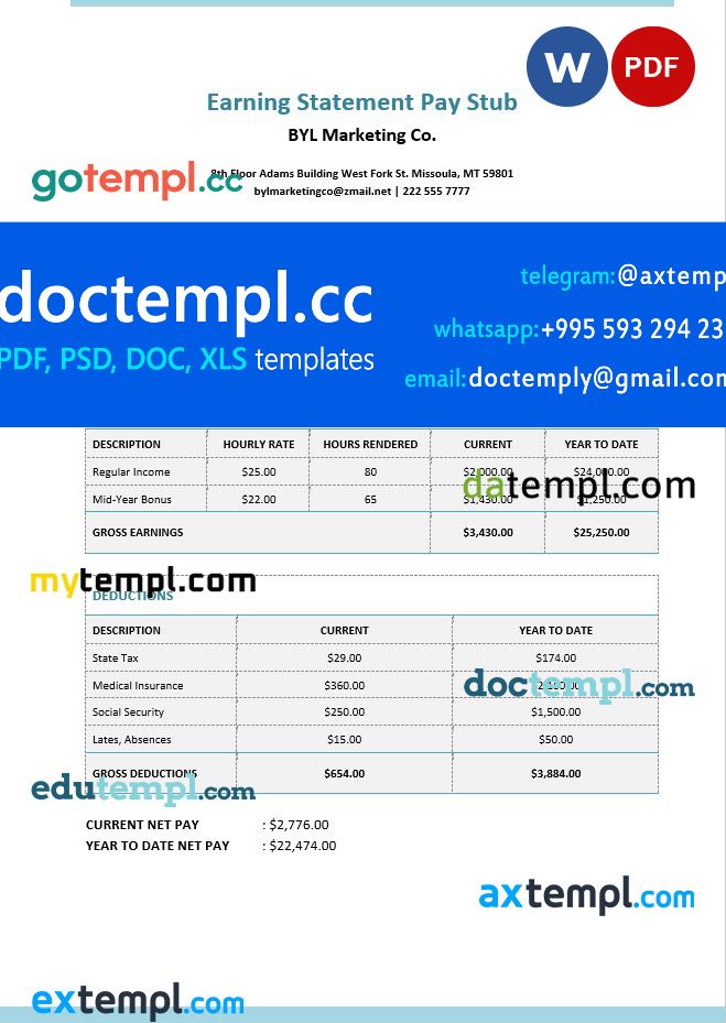 BYL Marketing Co. earnings statement Word and PDF template