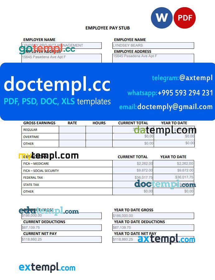 Employee annual pay stub Word and PDF template
