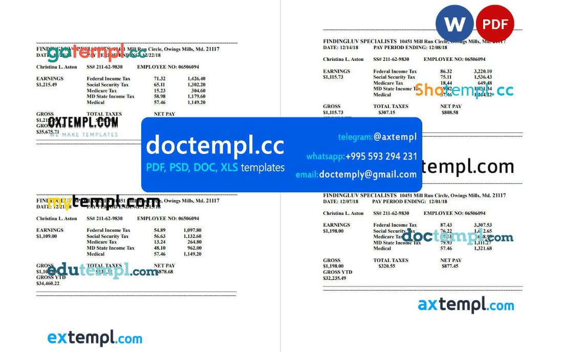Findingluv specialits company pay stub template in PDF and Word format