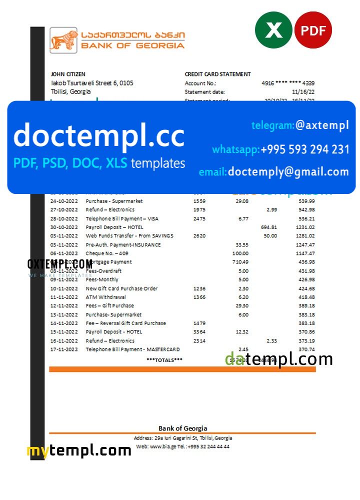 Georgia Bank of Georgia statement Excel and PDF template