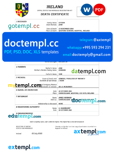 Ireland vital record death certificate Word and PDF template