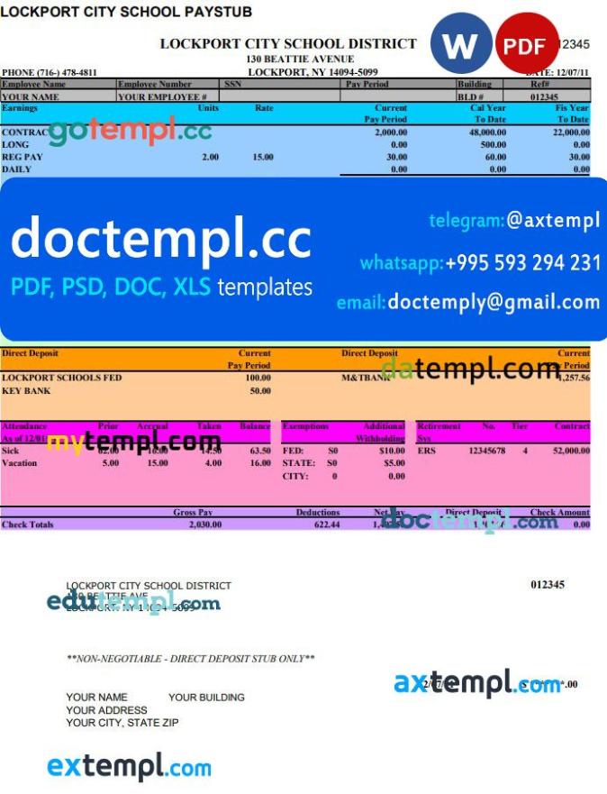 Lockport City School pay stub Word and PDF template