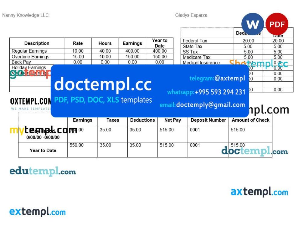 Nanny Knowledge LLC pay stub Word and PDF template