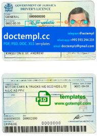 Jamaica driving license template in PSD format, fully editable