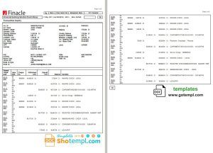 India Finacle bank statement in Word and PDF format (2 pages)