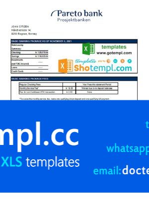 Norway Pareto bank statement easy to fill template in Excel and PDF format