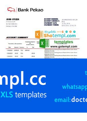 Poland Bank Pekao S.A. bank statement easy to fill template in Excel and PDF format