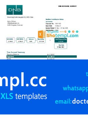 Norway DNB bank proof of address statement template in .xls and .pdf file format