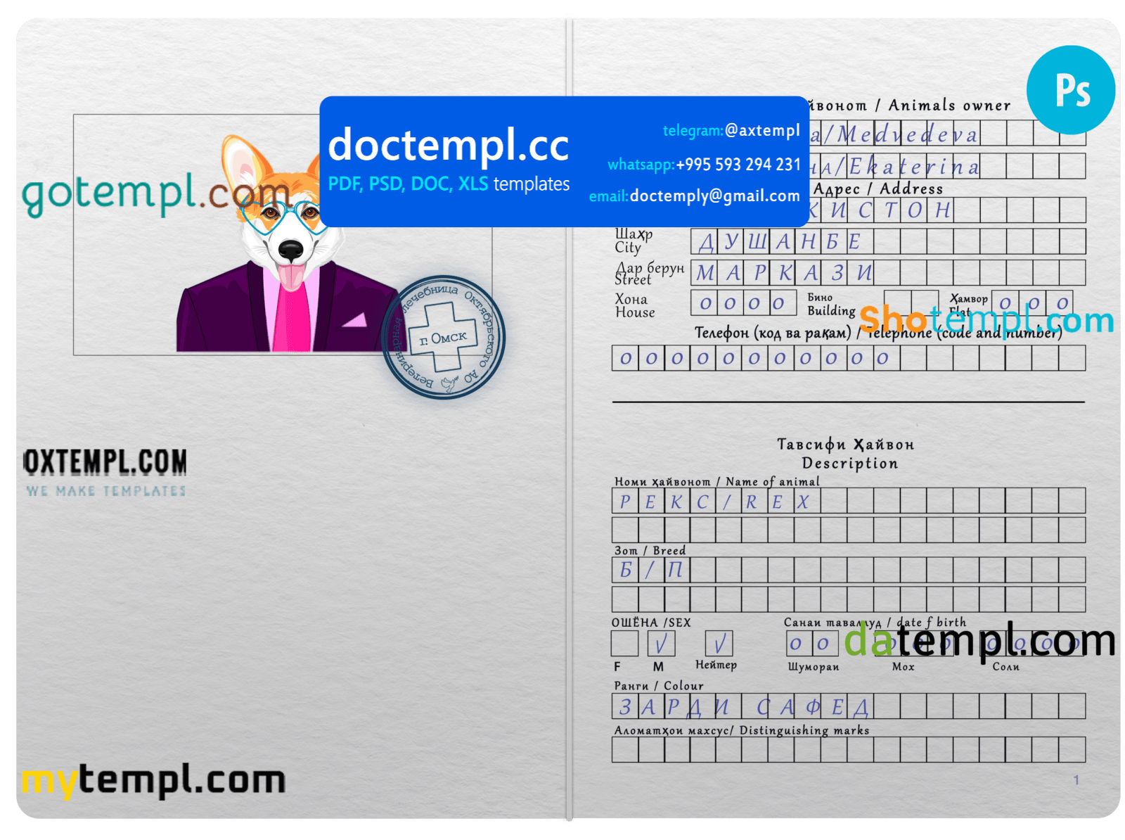 Tajikistan dog (animal, pet) passport PSD template, fully editable