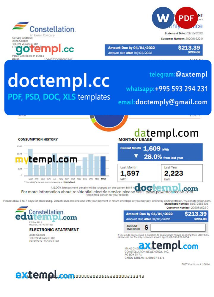 USA CONSTELLATION utility bill Word and PDF template