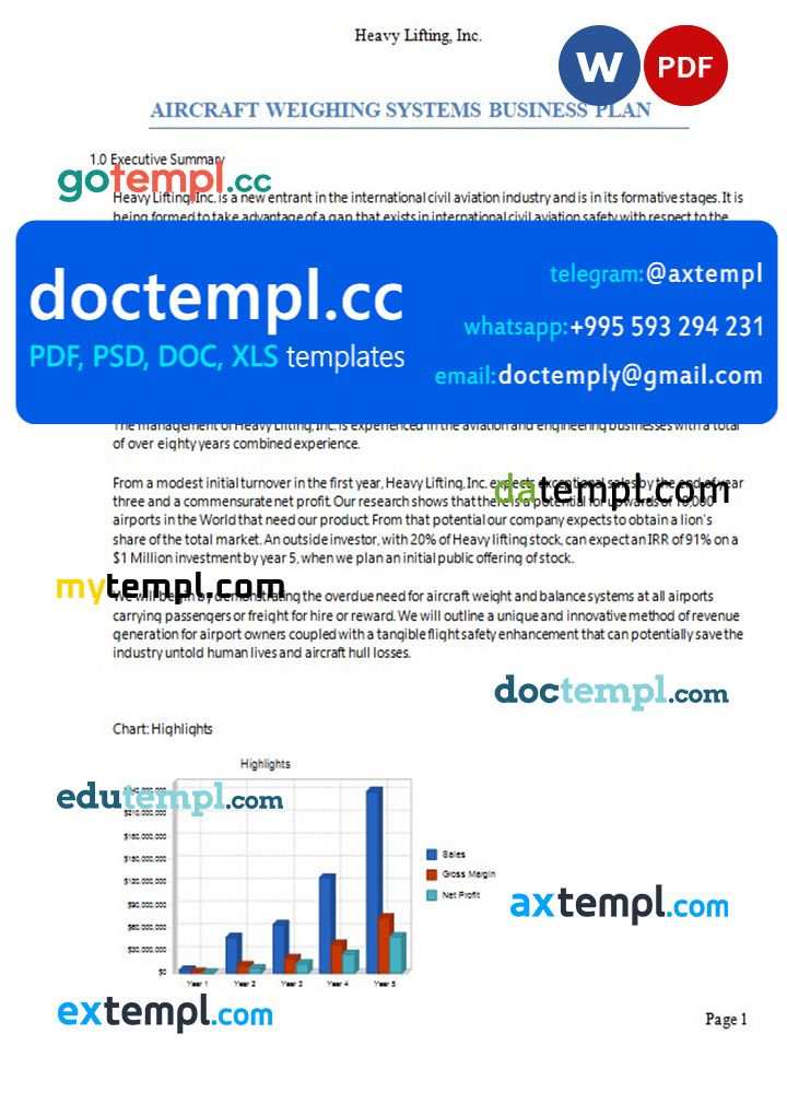 aircraft weighing systems business plan template in Word and PDF formats