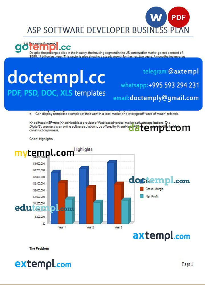 asp software developer business plan template in Word and PDF formats