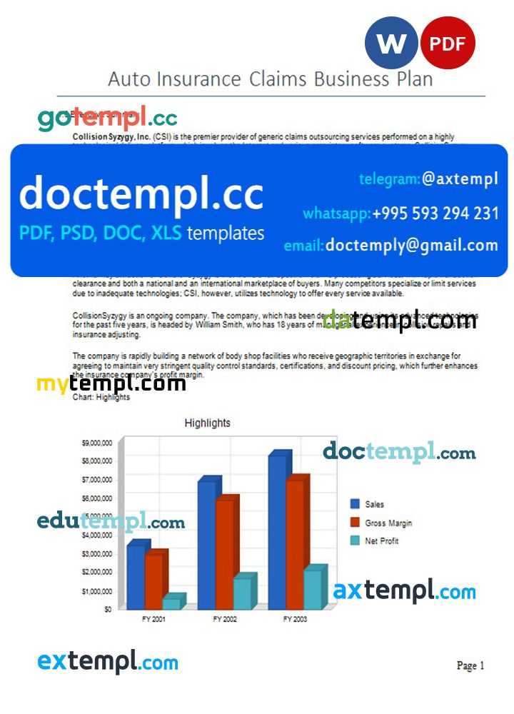 auto insurance claims business plan template in Word and PDF formats