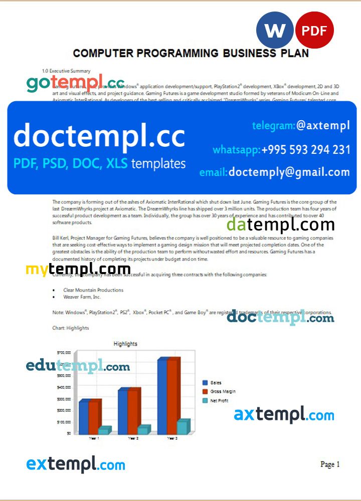 computer programming business plan template in Word and PDF formats