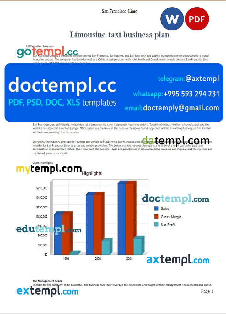 limousine taxi business plan template in Word and PDF formats