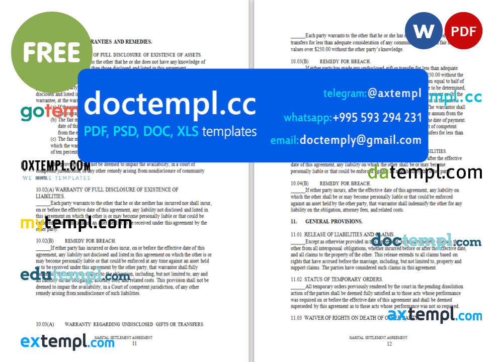 marital settlement agreement template in Word and PDF format, version 2