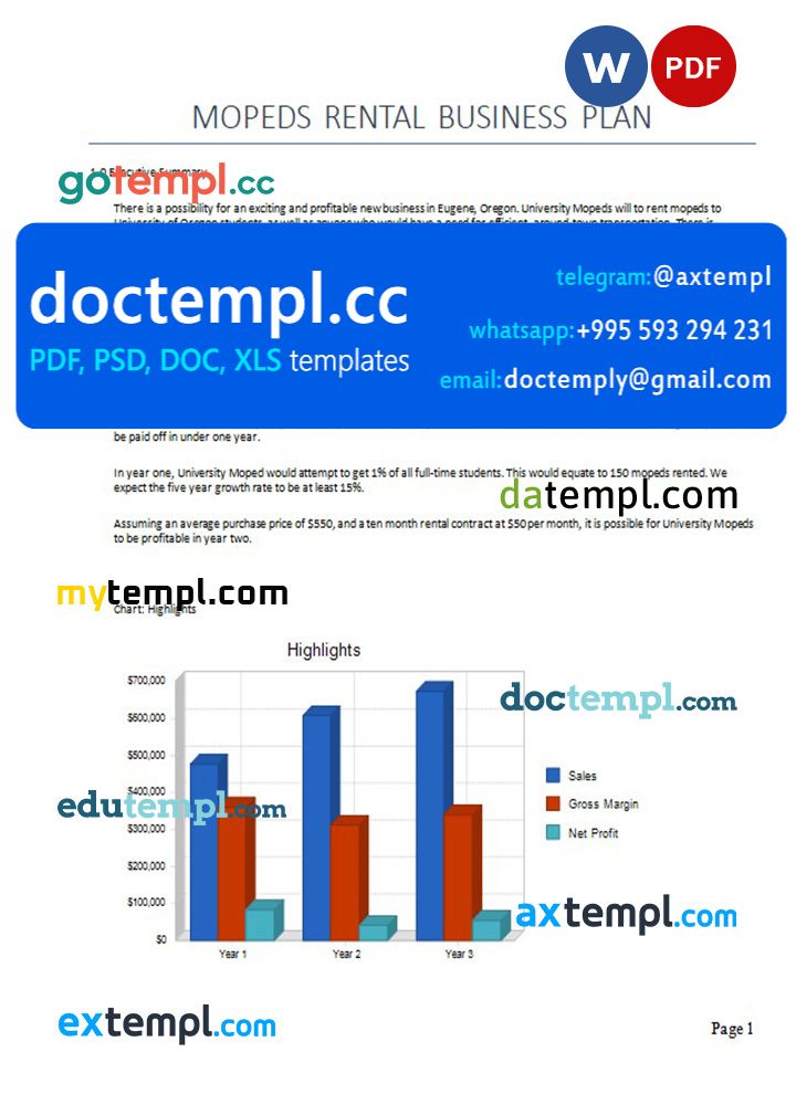 mopeds rental business plan template in Word and PDF formats