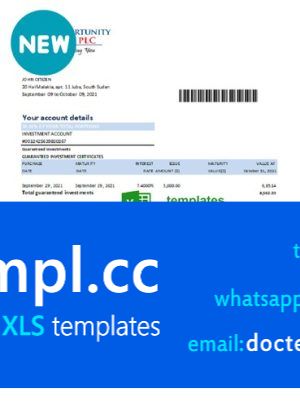 South Sudan Opportunity Bank statement easy to fill template in .xls and .pdf file format