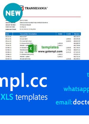 Romania Banca Transilvania bank statement easy to fill template in .xls and .pdf file format