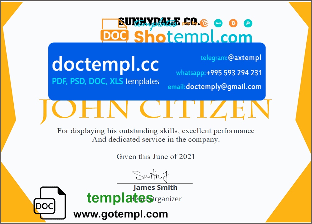 USA Recognition in Performance certificate template in Word and PDF format