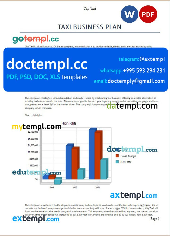 taxi business plan template template in Word and PDF formats