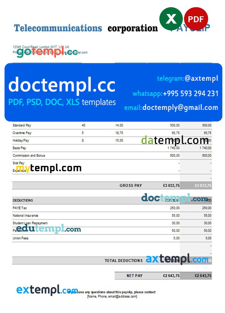 telecommunications corporation earning statement in Excel and PDF formats