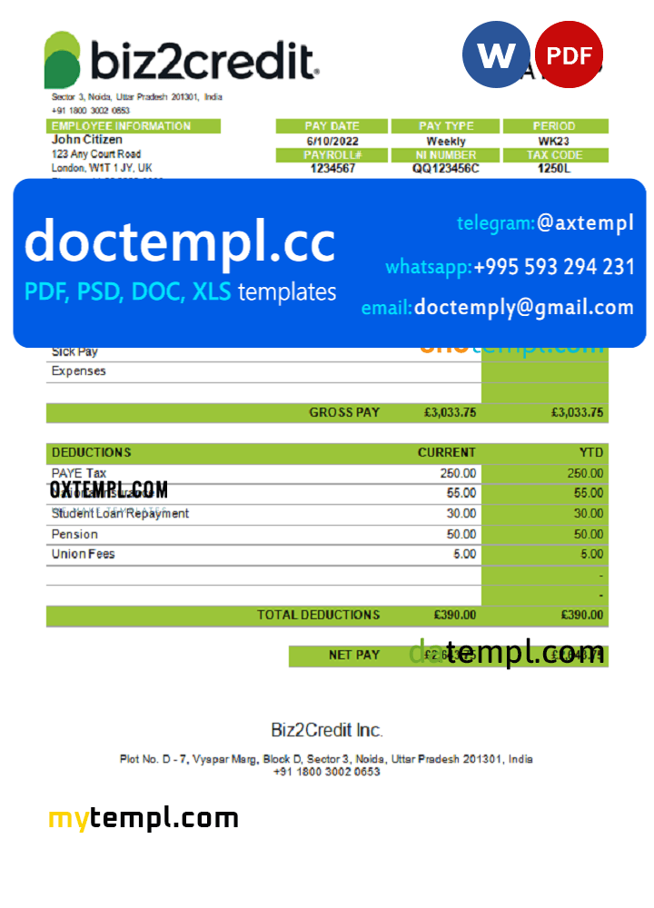 India Biz2Credit Inc. consumer lending company pay stub Word and PDF template