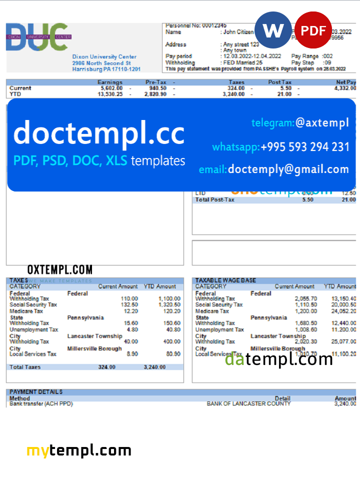 USA Dixon University Center educational company pay stub Word and PDF template