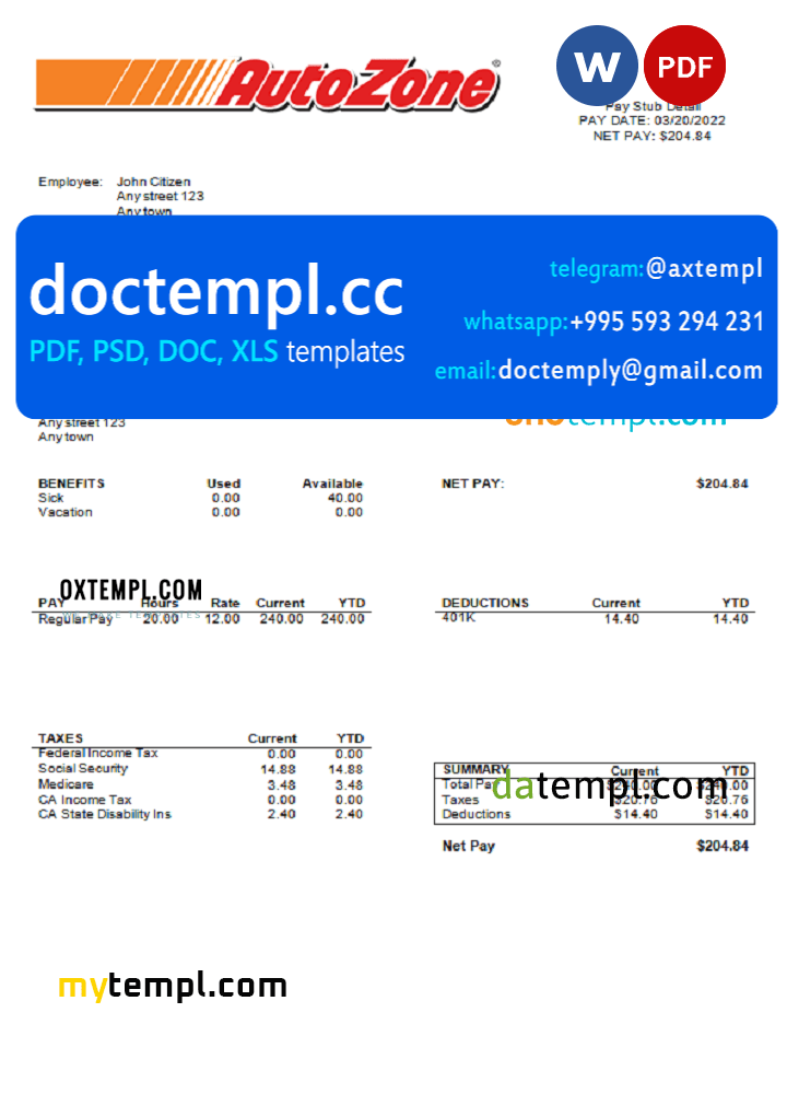 USA Auto Zone auto retailer company pay stub Word and PDF template
