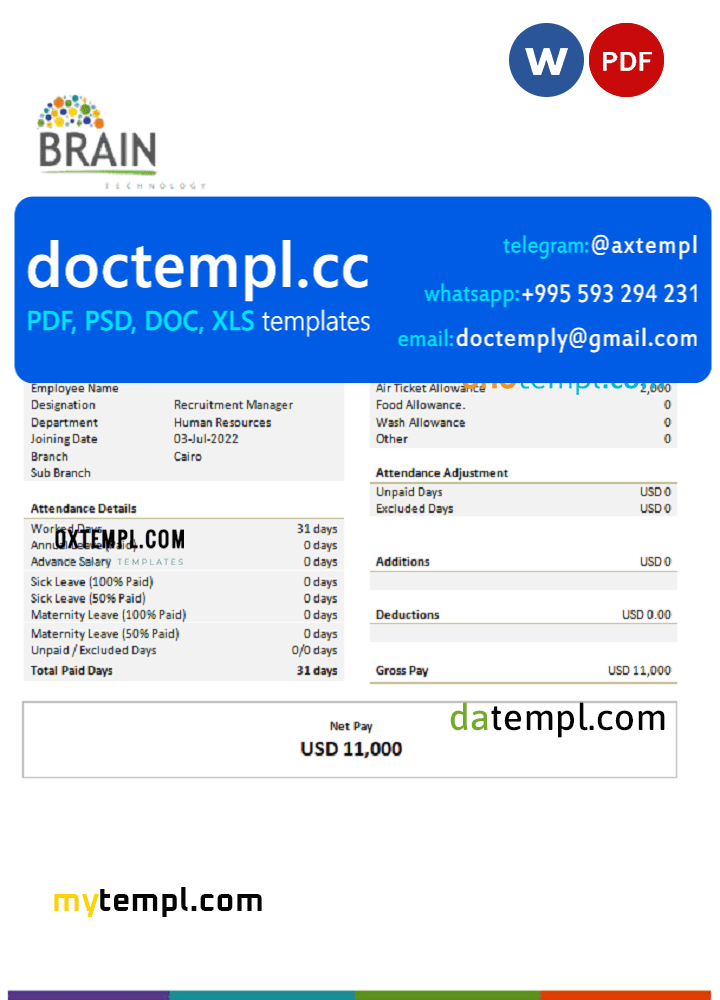 USA Brain Technology technology company pay stub Word and PDF template