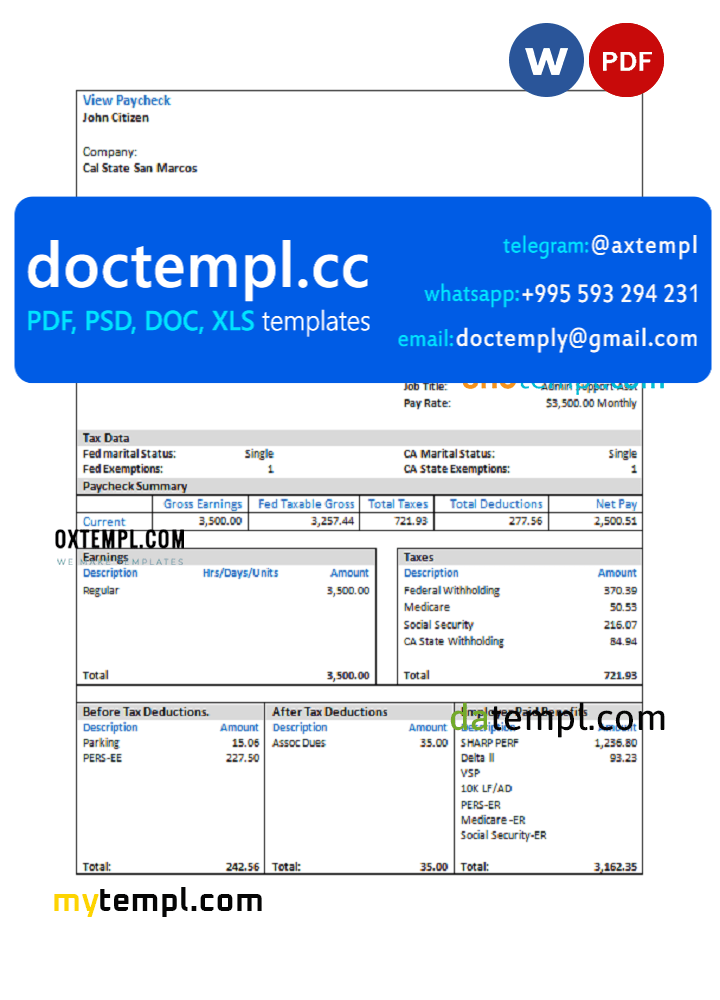 USA Cal State San Marcos payroll services company pay stub Word and PDF template