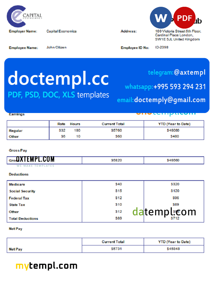 USA Capital Economics economic company pay stub Word and PDF template