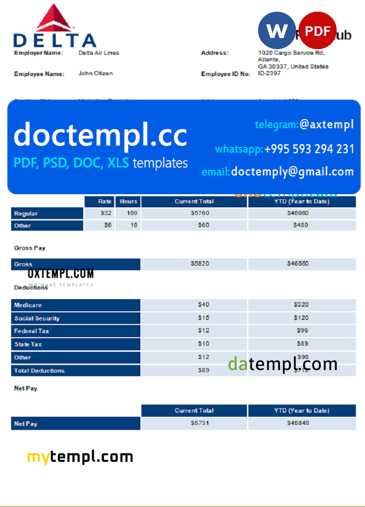USA Delta Air Lines airlines company pay stub Word and PDF template
