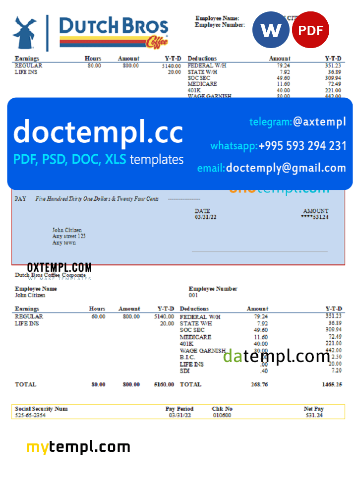 USA Dutch Bros Coffee Corporate coffeehouse company pay stub Word and PDF template
