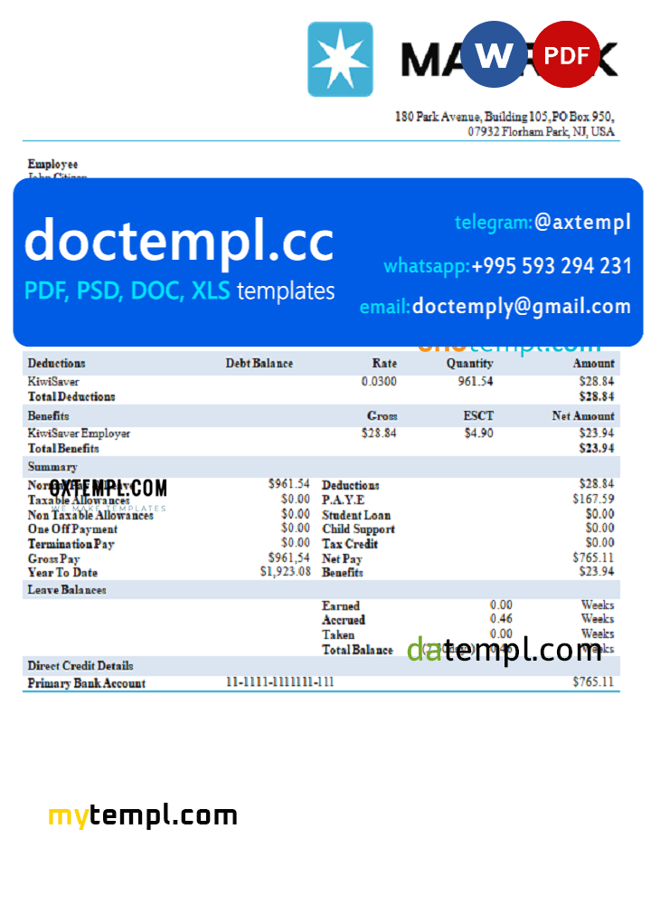 USA Maesk shipping company pay stub Word and PDF template