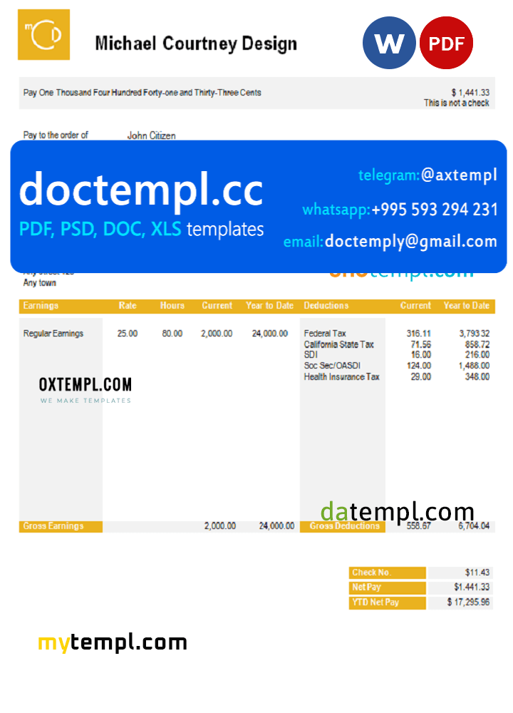 USA Michael Courtney Design graphic company pay stub Word and PDF template