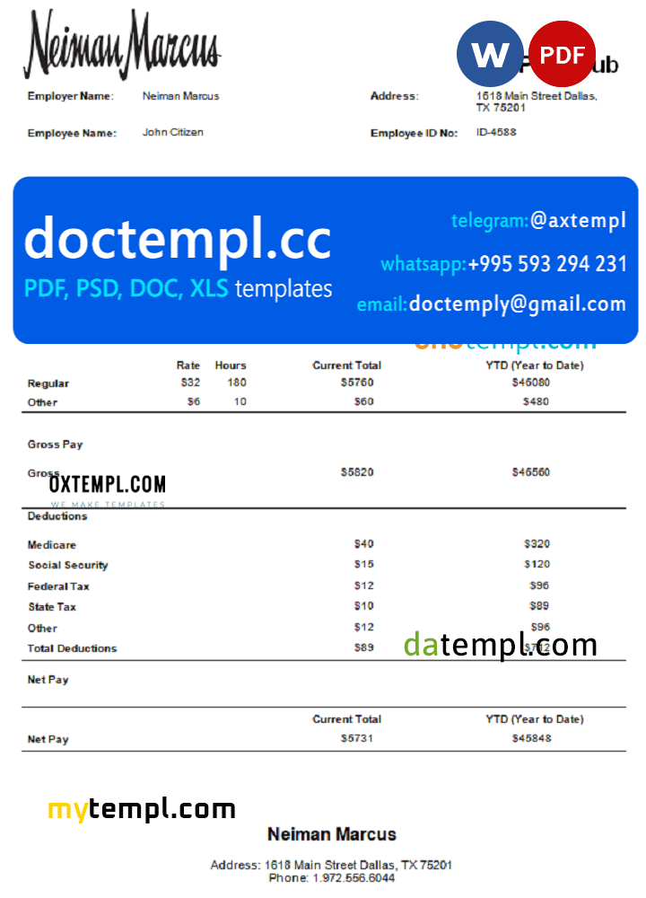 USA Neiman Marcus department store company pay stub Word and PDF template