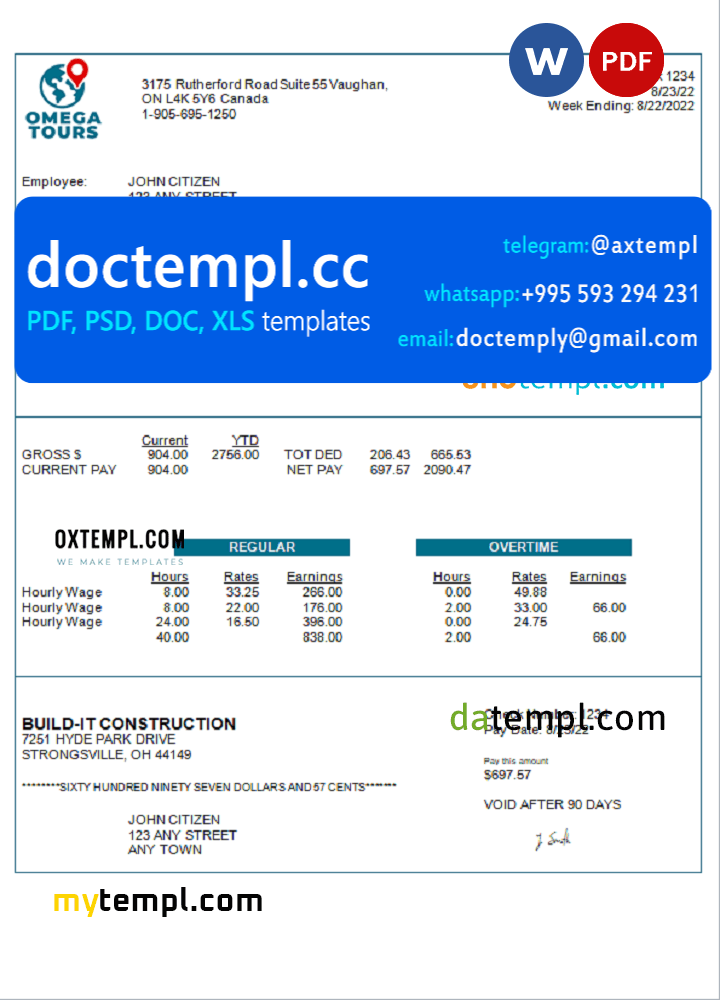 USA Omega Tours tourism company pay stub Word and PDF template