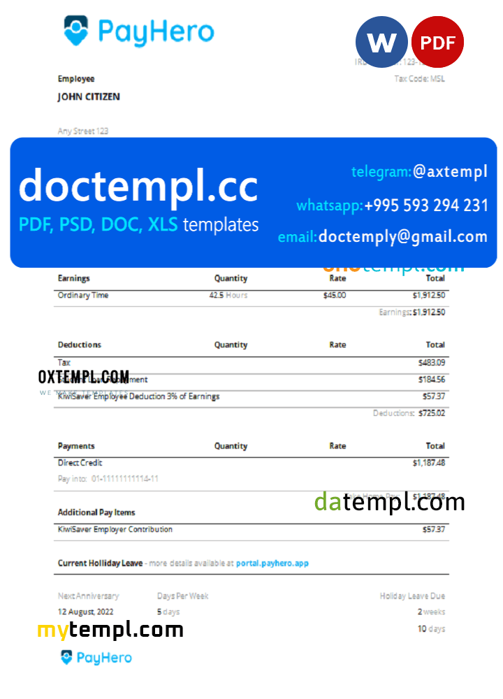 USA PayHero financial company pay stub Word and PDF template