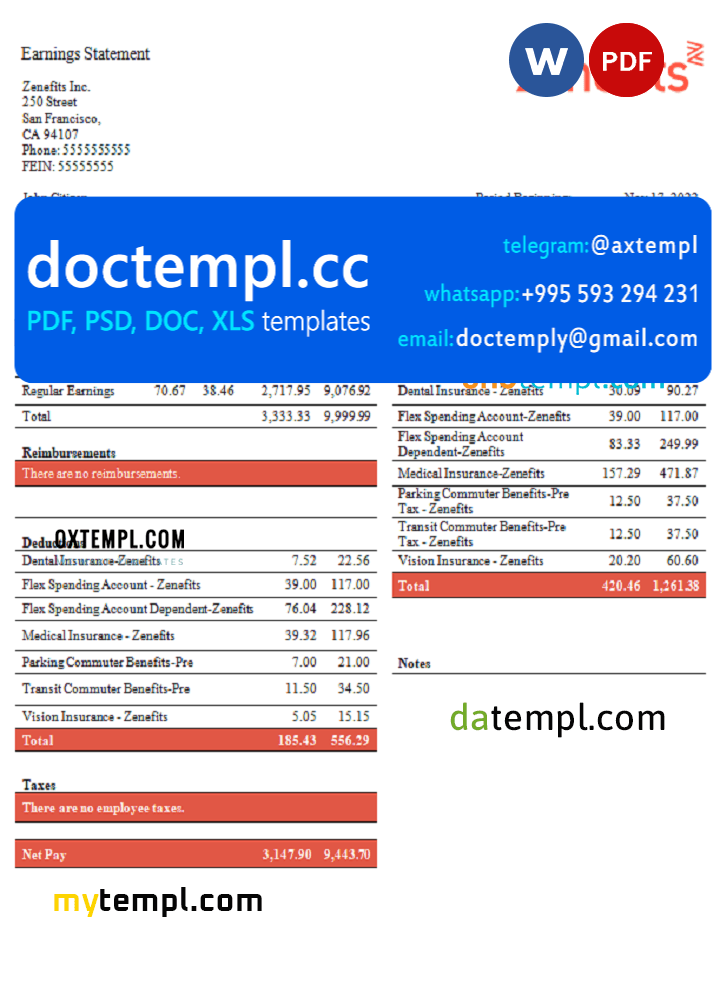 USA Zenefits technology company pay stub Word and PDF template