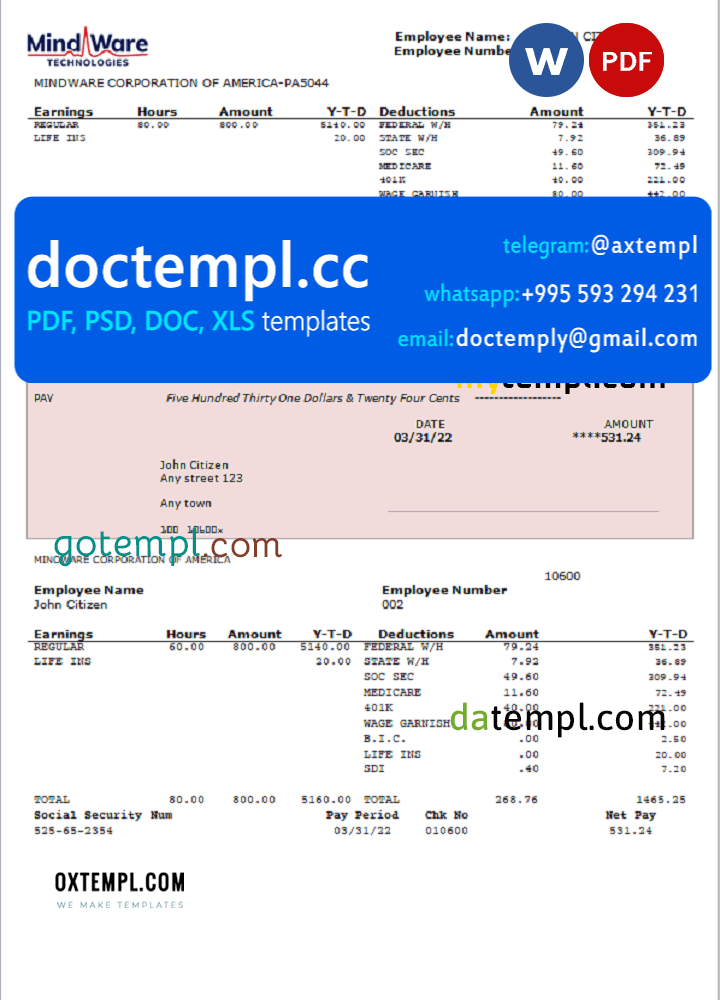 USA software company employee sheet template in Word and PDF format