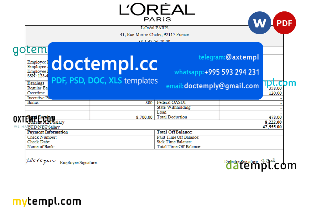 France Loreal Paris cosmetic distributing company pay stub Word and PDF template