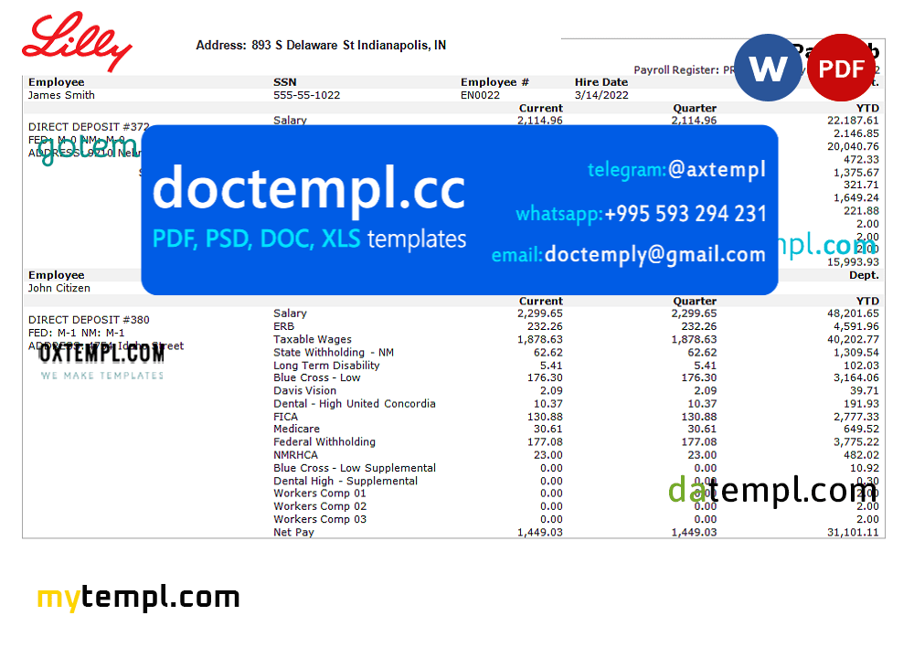 USA pharmaceutical company earnings statement template in Word and PDF format