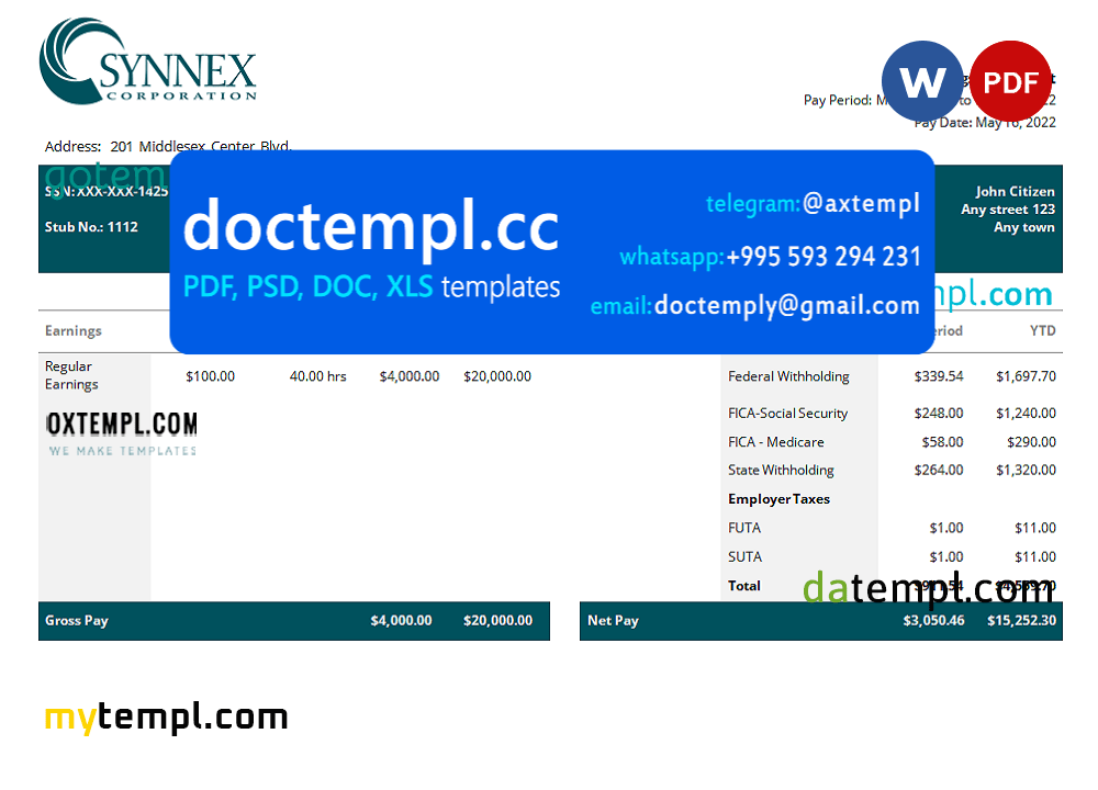 USA IT consulting company employee sheet template in Word and PDF format