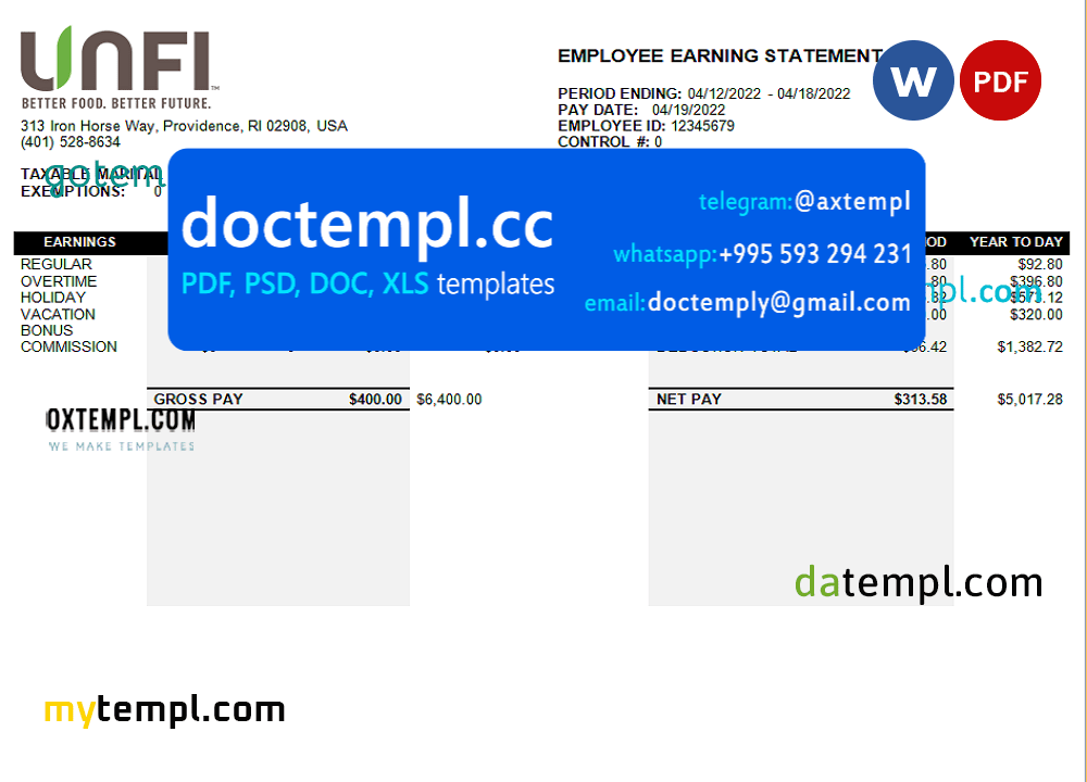 USA retail company earning statement template in Word and PDF format