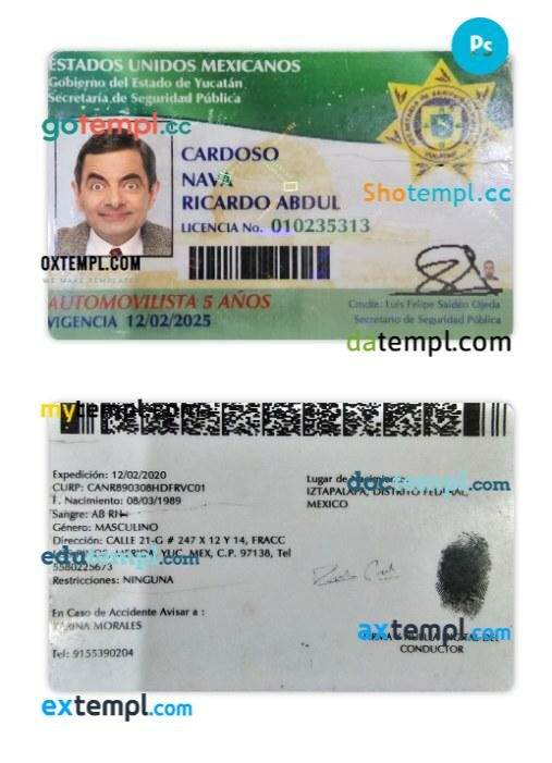 Mexico Yucatan state driving license PSD editable template