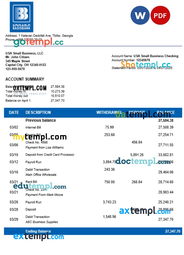 Basis Bank company statement Word and PDF format