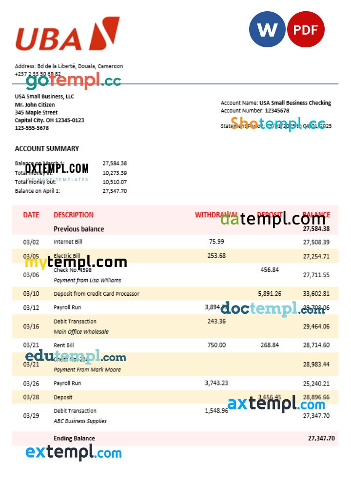 UBA company statement Word and PDF format