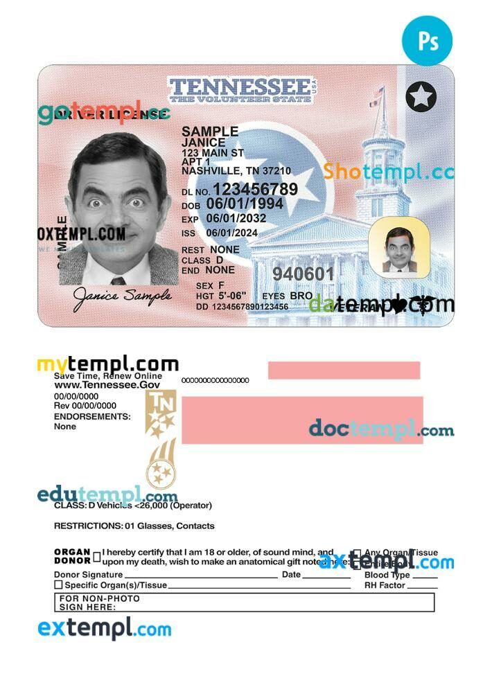 USA Tennessee driving license PSD editable template, 2024-present